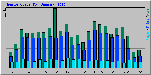 Hourly usage for January 2016